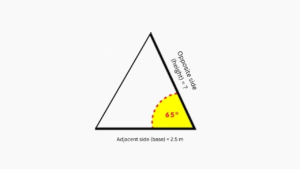 Ladder Using Trig How to Solve Trigonometry Problems Step by Step Guide